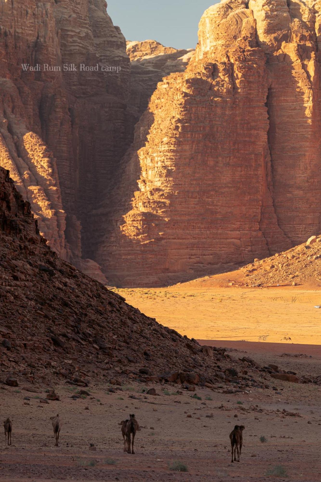 Wadi Rum Silk Road Camp Zewnętrze zdjęcie