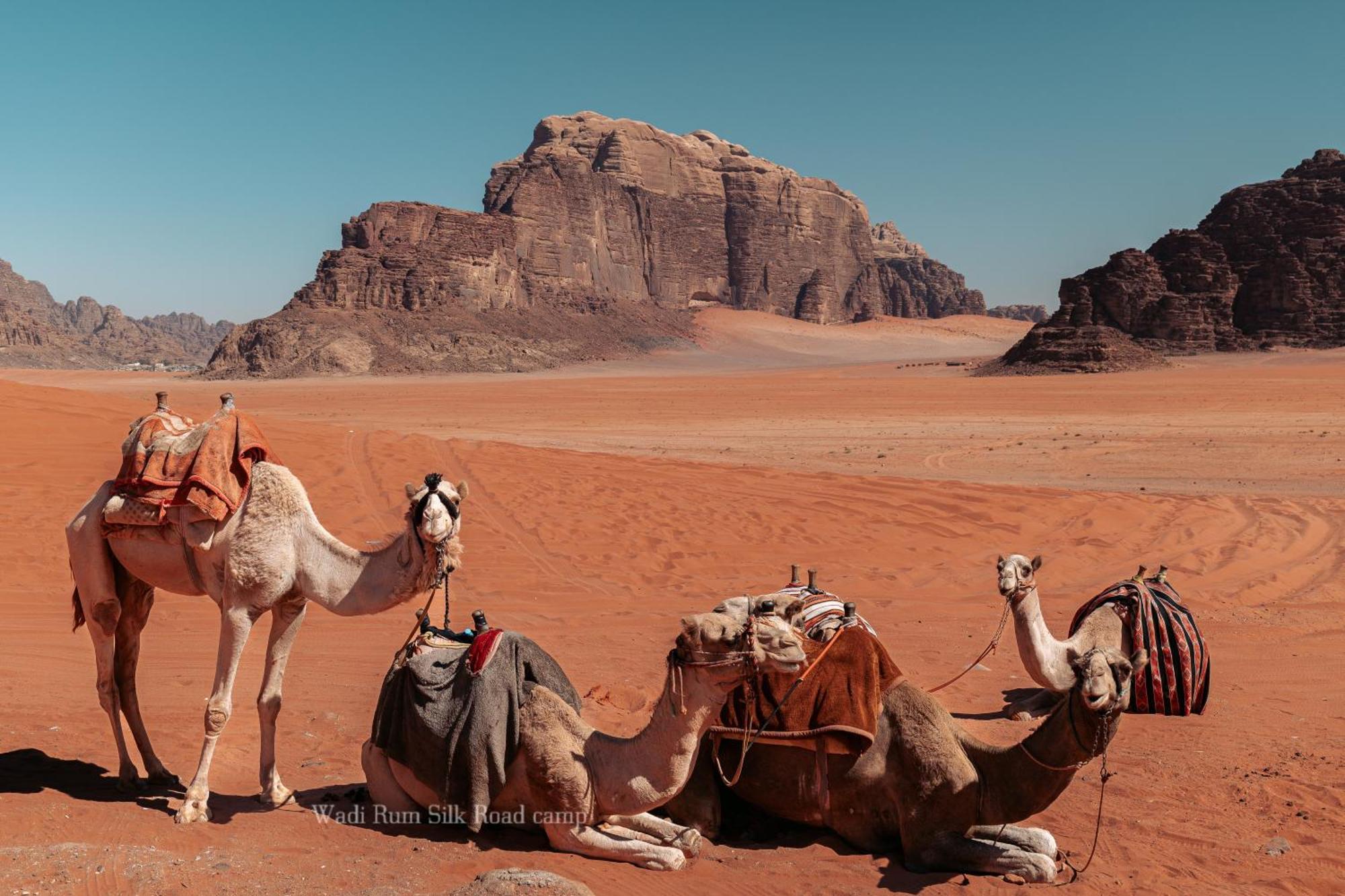 Wadi Rum Silk Road Camp Zewnętrze zdjęcie