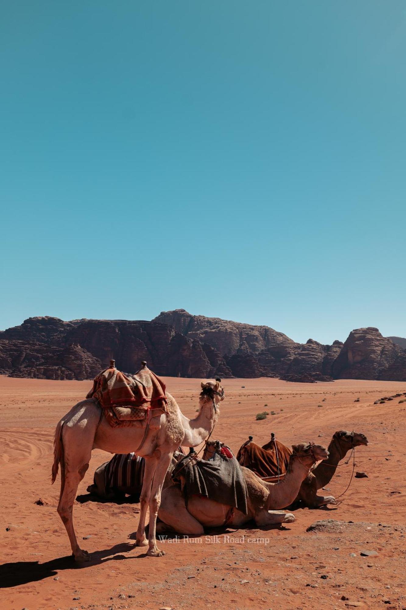 Wadi Rum Silk Road Camp Zewnętrze zdjęcie